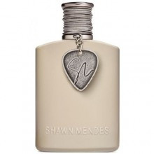 شاون مندس سیگنیچر 2 